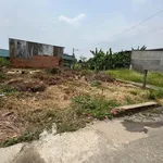Bán đất 2 mặt hẻm Bình Mỹ Củ Chi 137m² 2,3 tỷ - Ảnh thu nhỏ 1