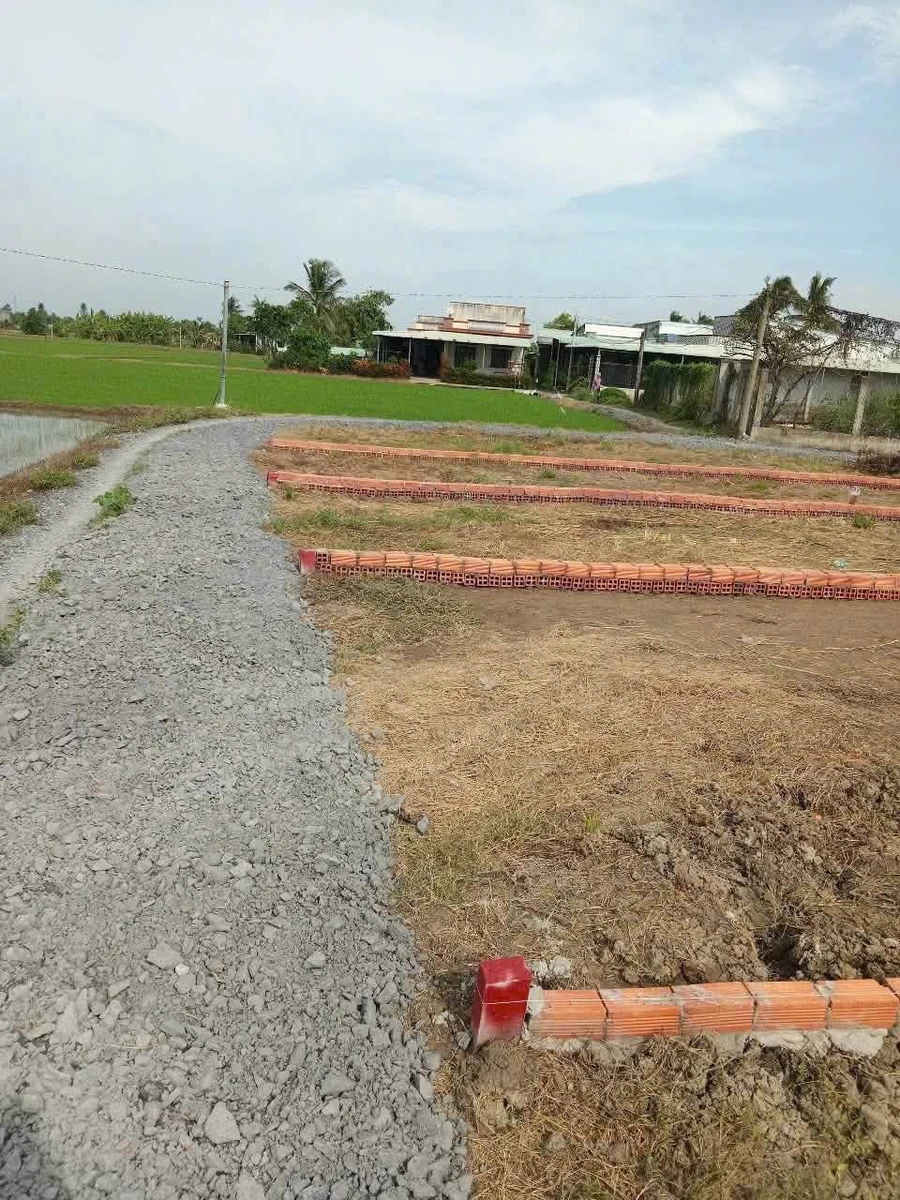 Bán 5 lô đất nền Mỹ Lệ Cần Đước Long An 112.5m² - Ảnh 1