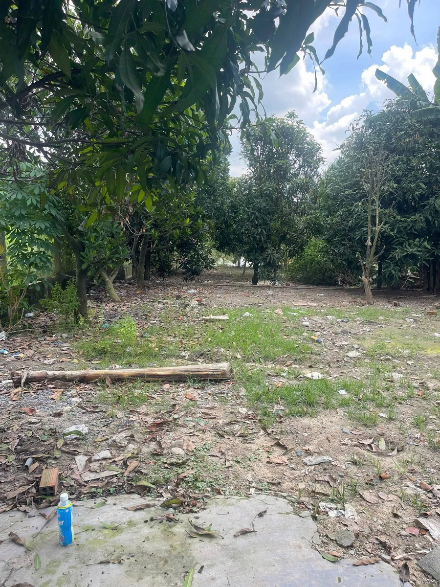 Cho thuê nhà vườn 2000m² Phước Vĩnh An Củ Chi 5 triệu/tháng - Ảnh 1