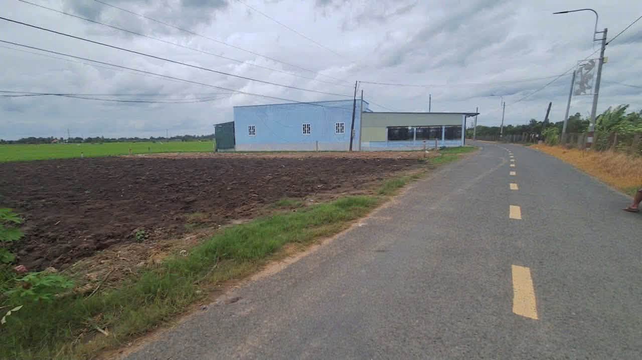 Bán đất mặt tiền Nguyễn Văn Mỹ 175m² Tân Trụ Long An - Ảnh thu nhỏ 3