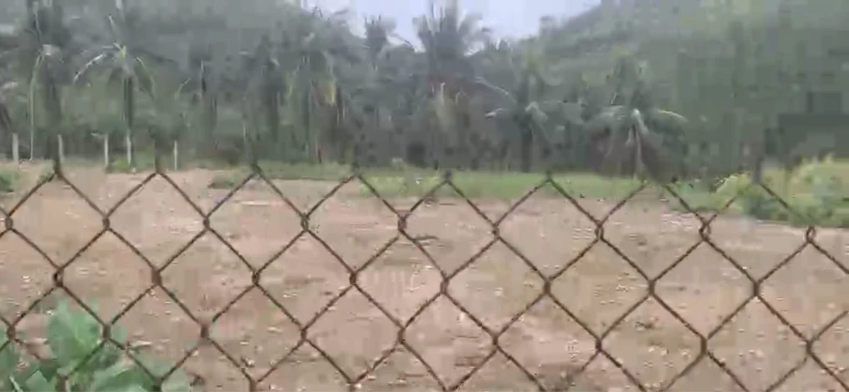 Bán đất 3000m2 mặt tiền QL1A view biển Sông Cầu Phú Yên - Ảnh thu nhỏ 3