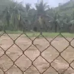 Bán đất 3000m2 mặt tiền QL1A view biển Sông Cầu Phú Yên - Ảnh thu nhỏ 3