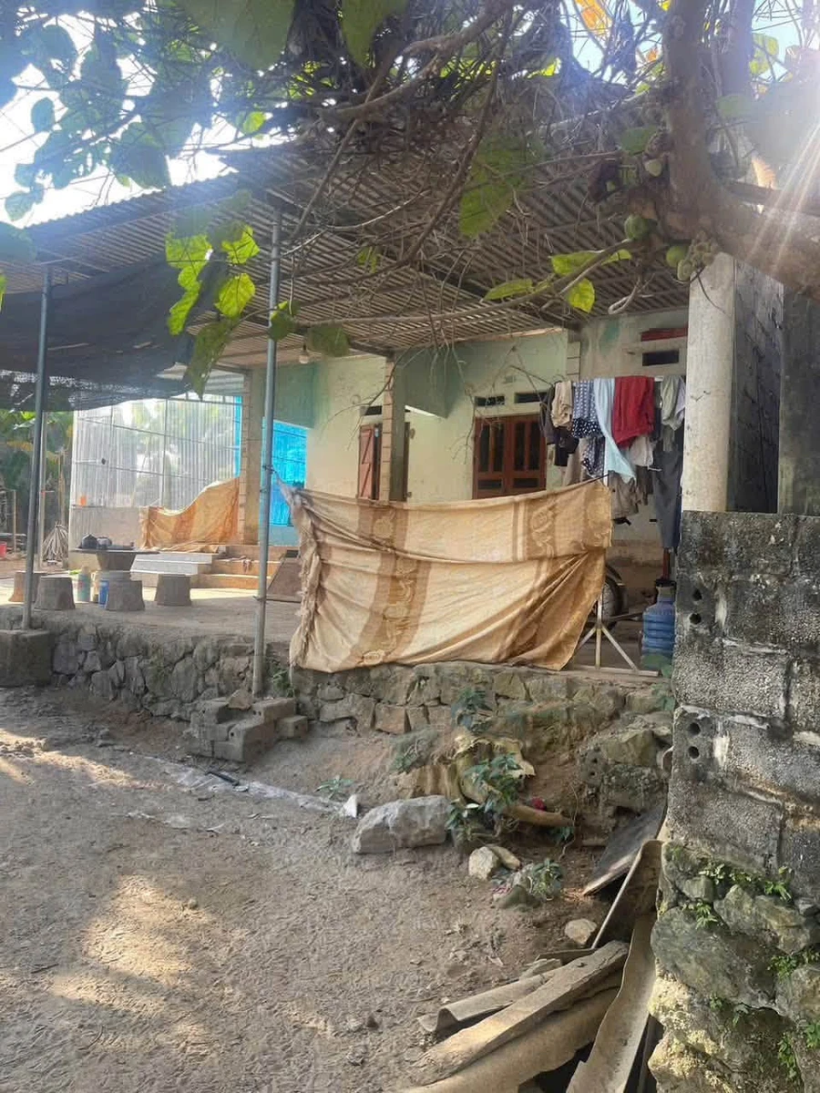 Bán đất Tân Lạc Hòa Bình 2000m² trồng bưởi 1,2 tỷ - Ảnh 1