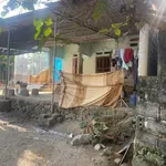 Bán đất Tân Lạc Hòa Bình 2000m² trồng bưởi 1,2 tỷ - Ảnh thu nhỏ 1