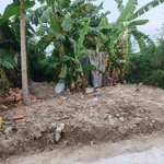 Bán đất nền Vĩnh Thái 53m² giá 520 triệu - Ảnh thu nhỏ 2