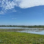 Bán 2 sào ruộng Quốc Oai, Hà Nội, 1440m², 400 triệu - Ảnh thu nhỏ 2
