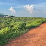 Bán đất trên 500m2 Tây Ninh giá từ 200 triệu - Ảnh thu nhỏ 1