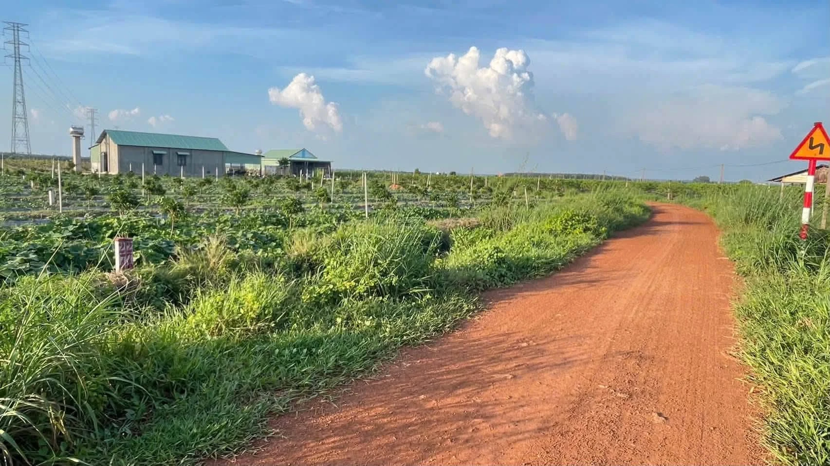 Bán đất trên 500m2 Tây Ninh giá từ 200 triệu - Ảnh 1