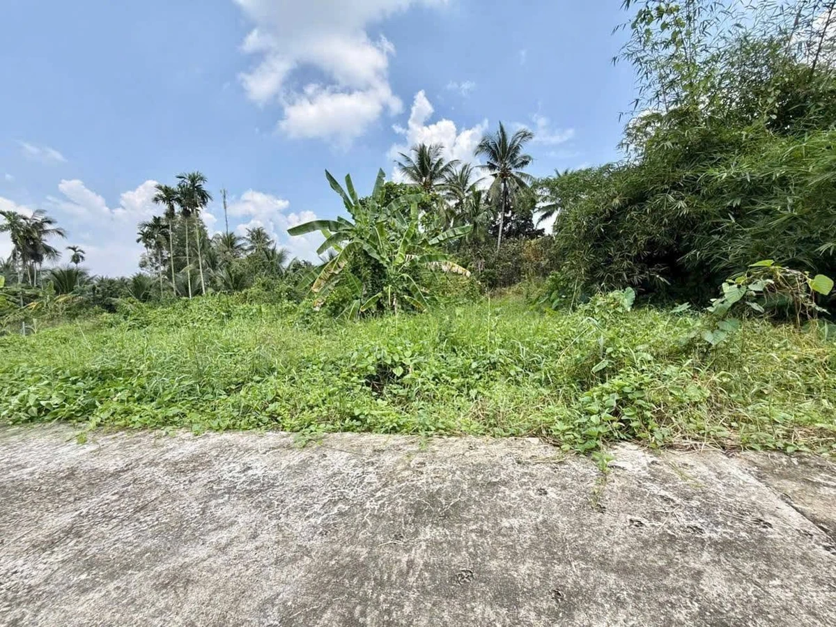 Bán nền biệt thự 300m² Sơn Đông, Vĩnh Long - Ảnh thu nhỏ 2