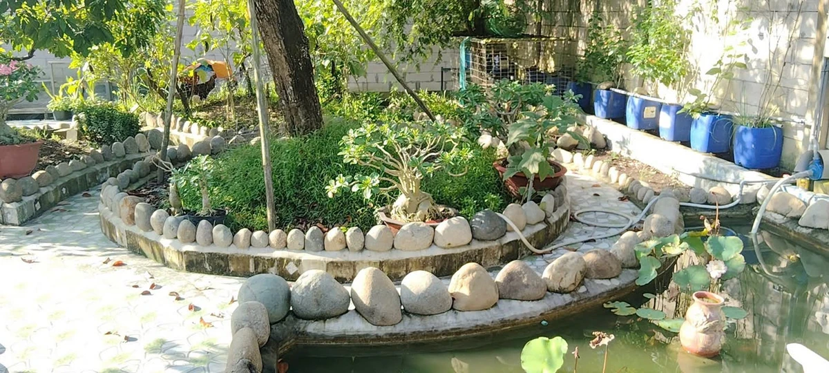 Bán đất Phú Hưng Bến Tre 530m2 1 tỷ 250 triệu - Ảnh thu nhỏ 5