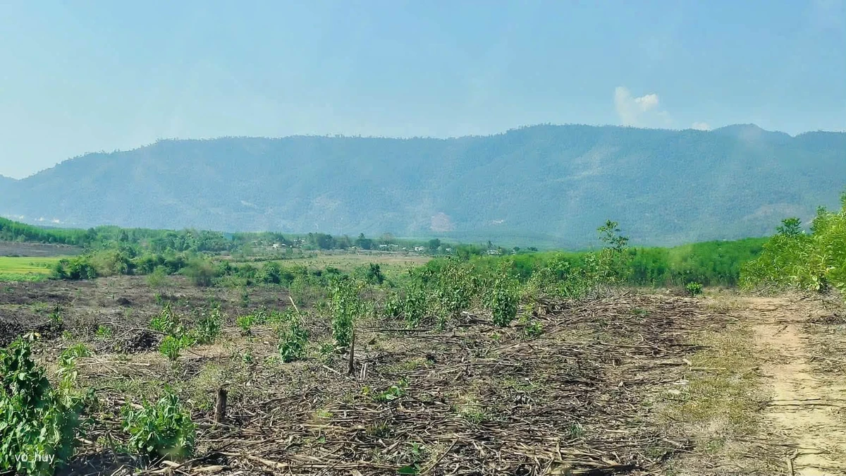 Bán lô đất farm giáp suối 4700m² Nha Trang - Ảnh thu nhỏ 3