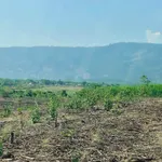 Bán lô đất farm giáp suối 4700m² Nha Trang - Ảnh thu nhỏ 3