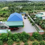 Bán nhà 1000m² có nội thất Xã Ea Kly Đắk Lắk 2,6 tỷ - Ảnh thu nhỏ 5