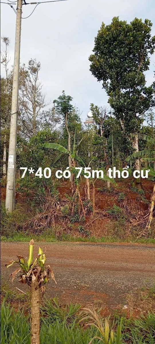 Bán lô đất 280m² tổ 4, phường Tân, Gia Nghĩa 600 triệu - Ảnh thu nhỏ 2