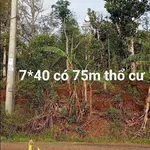 Bán lô đất 280m² tổ 4, phường Tân, Gia Nghĩa 600 triệu - Ảnh thu nhỏ 2