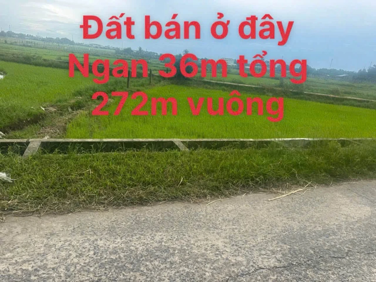 Bán đất Phước Thạnh 272m² mặt tiền 580 triệu - Ảnh 1