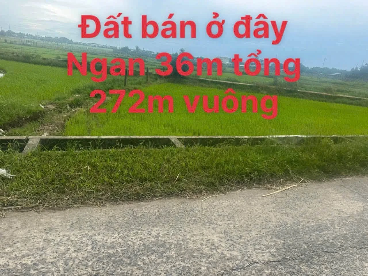Bán đất Phước Thạnh 272m² mặt tiền 580 triệu - Ảnh 1
