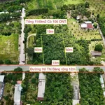 Bán lô đất mặt tiền Võ Thị Bàng, 1105 m², 4 tỷ 2 - Ảnh thu nhỏ 4