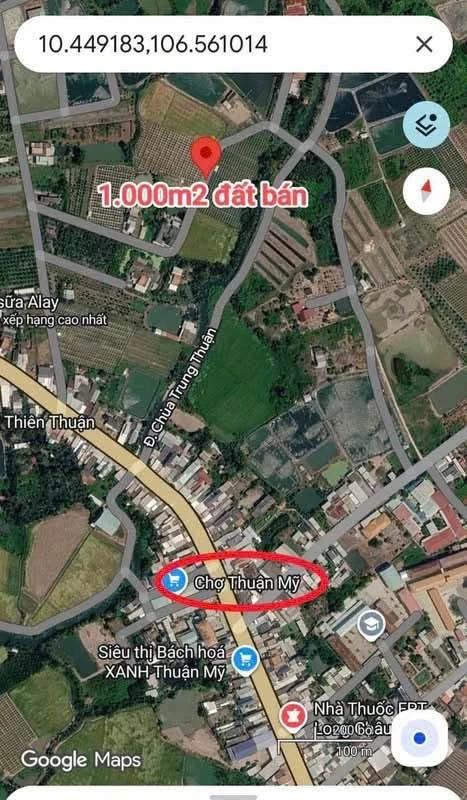 Bán đất nền 1000m2 Thuận Mỹ, Long An - Ảnh thu nhỏ 3
