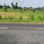 Bán 250m2 đất thổ mặt tiền Phạm Văn Điền Tân An Long An - Ảnh thu nhỏ 1
