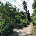 Bán đất 300m2 Hóc Môn Đông Thạnh 5,2 tỷ - Ảnh thu nhỏ 2