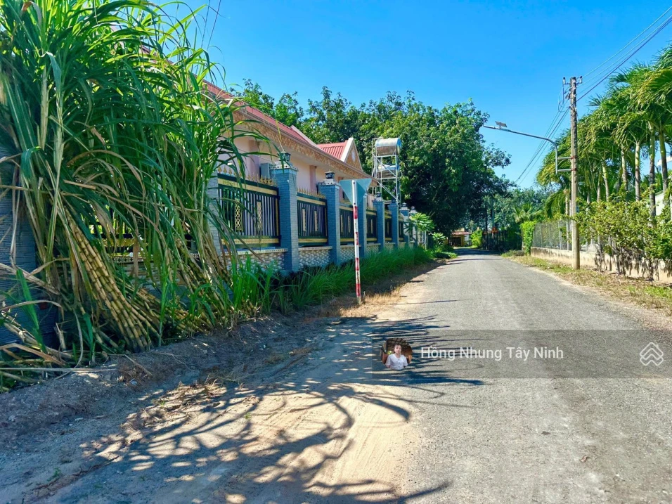 390tr thương lượng mạnh. Bán đất đường nhựa tại Xã Phước Thạnh, Gò Dầu, Tây Ninh, 137,1m² thổ cư - Ảnh thu nhỏ 3