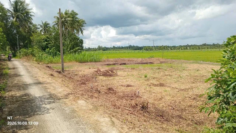 Bán đất nền thổ cư 110m² mặt tiền đường đal tại Tân Long Hội, Mang Thít, Vĩnh Long