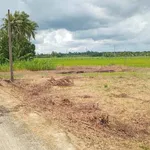Bán đất nền thổ cư 110m² mặt tiền đường đal tại Tân Long Hội, Mang Thít, Vĩnh Long - Ảnh thu nhỏ 1