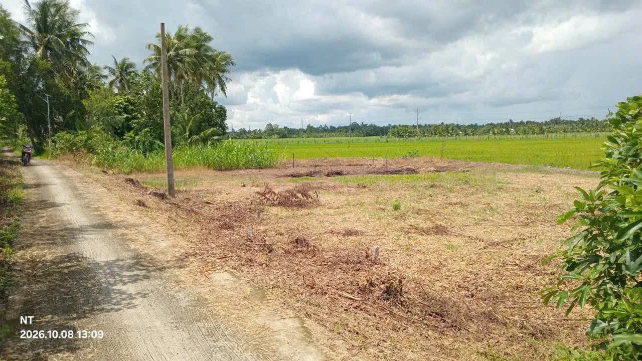 Bán đất nền thổ cư 110m² mặt tiền đường đal tại Tân Long Hội, Mang Thít, Vĩnh Long - Ảnh 1