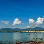 Bán nhà đất thổ cư 70m2 trục biển Mỹ Thọ, Phù Mỹ, Gia Lai giá 980 triệu - Ảnh thu nhỏ 3