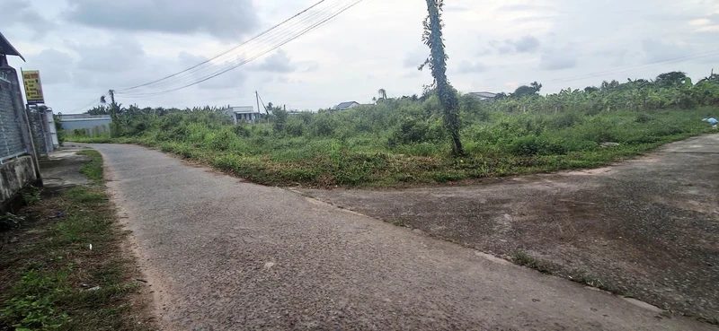 Bán đất sào Xuân Điền Hàm Hiệp, 500m², 1,5 tỷ
