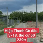 Bán đất Hiệp Thạnh Gò Dầu Tây Ninh 90m2 239 triệu - Ảnh thu nhỏ 1