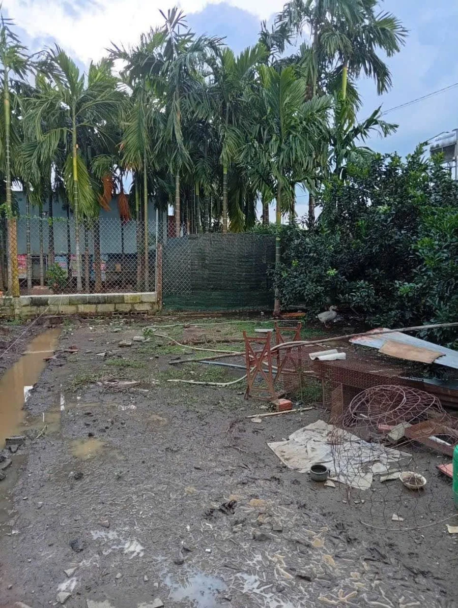 Bán nhà cấp 4 260m thổ cư 100m Tân Triều, Đồng Nai - Ảnh thu nhỏ 2