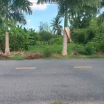 Bán đất mặt tiền 459m² trung tâm Tân Trụ 4 tỷ - Ảnh thu nhỏ 1