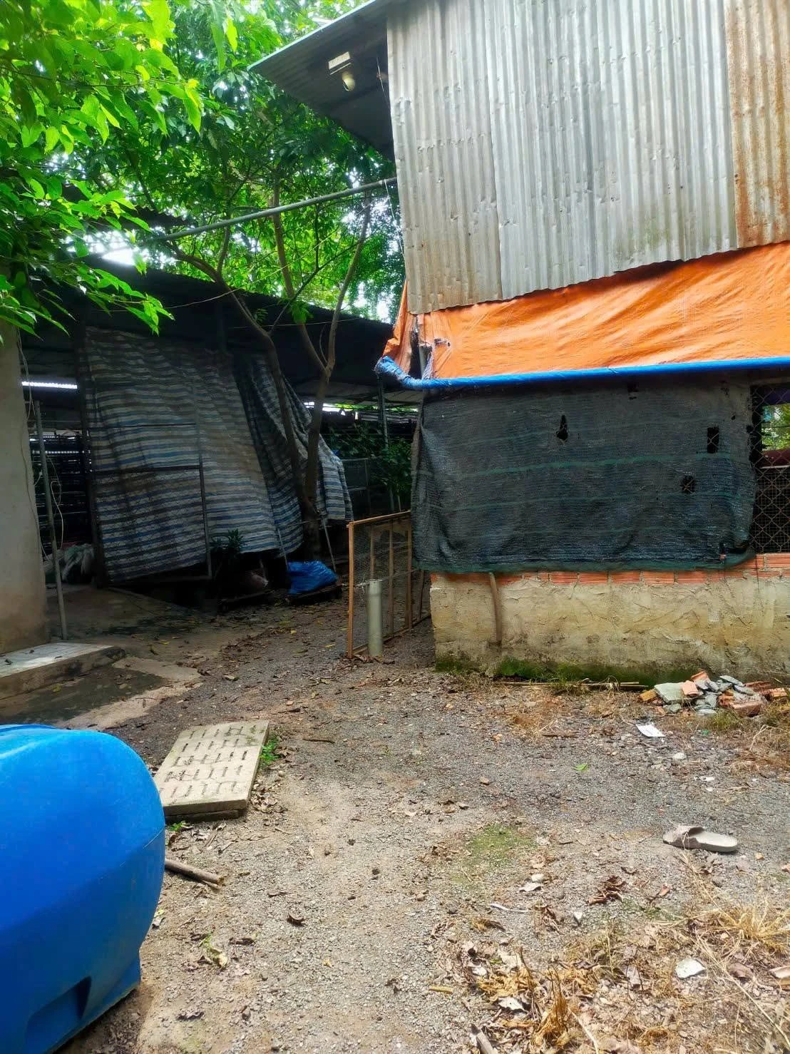 Bán đất trang trại 2300m2 Đồng Nai 2 tỷ 3 - Ảnh 1