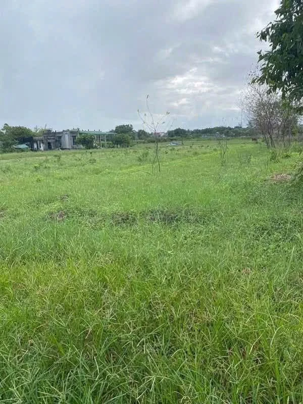 Bán đất thôn 7 Lý Trạch 7000m2, 3 tỷ