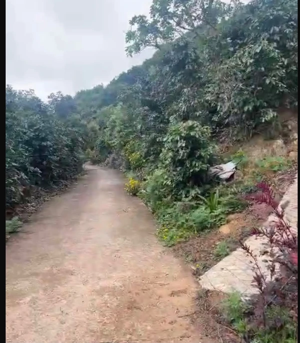 Bán 4 hecta đất Cầu Đất Đà Lạt - 1 tỷ/1000m²