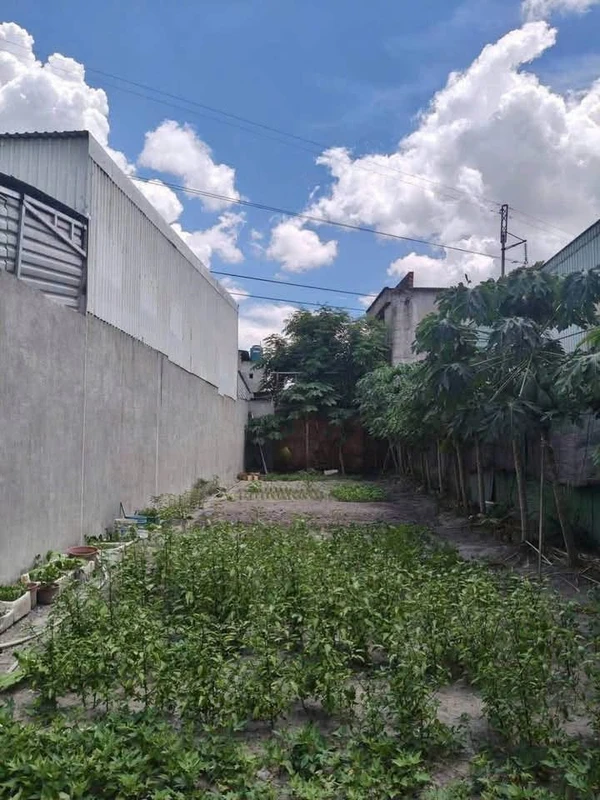 Bán lô đất Tân Phước Khánh 231m² mặt đường 2 tỷ 850