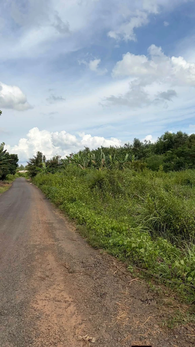 Bán đất thổ cư mặt tiền 2535m², Xã Thiên Hưng, Đồng Nai - Ảnh thu nhỏ 3