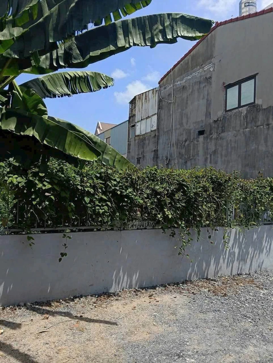 Bán đất 370m² ngang 12m, hẻm 279 Lê Quang Hòa, Thới An, Quận 12 giá 24,9 tỷ - Ảnh thu nhỏ 2