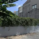 Bán đất 370m² ngang 12m, hẻm 279 Lê Quang Hòa, Thới An, Quận 12 giá 24,9 tỷ - Ảnh thu nhỏ 2