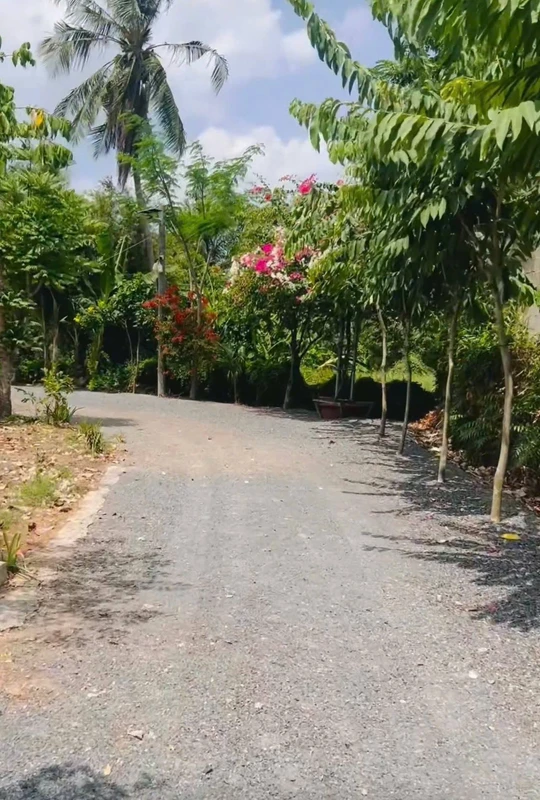 Bán đất thổ cư Mỹ Yên Bến Lức Long An 96.6m²