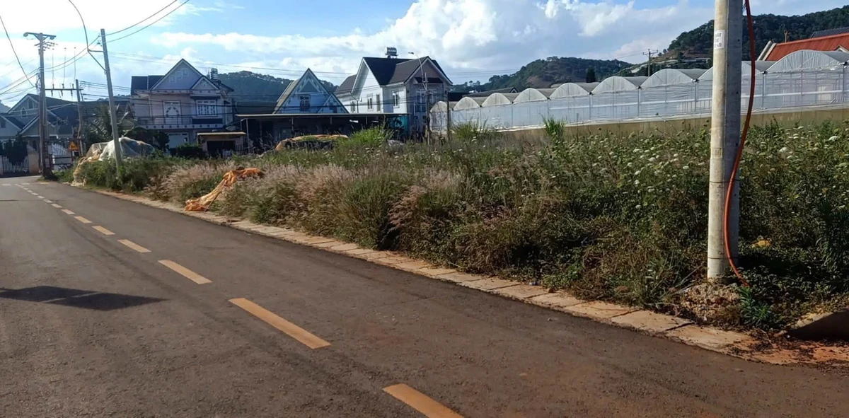Bán lô đất 220m2 Đa Quý, Đà Lạt, 4,2 tỷ - Ảnh thu nhỏ 2