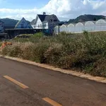 Bán lô đất 220m2 Đa Quý, Đà Lạt, 4,2 tỷ - Ảnh thu nhỏ 2