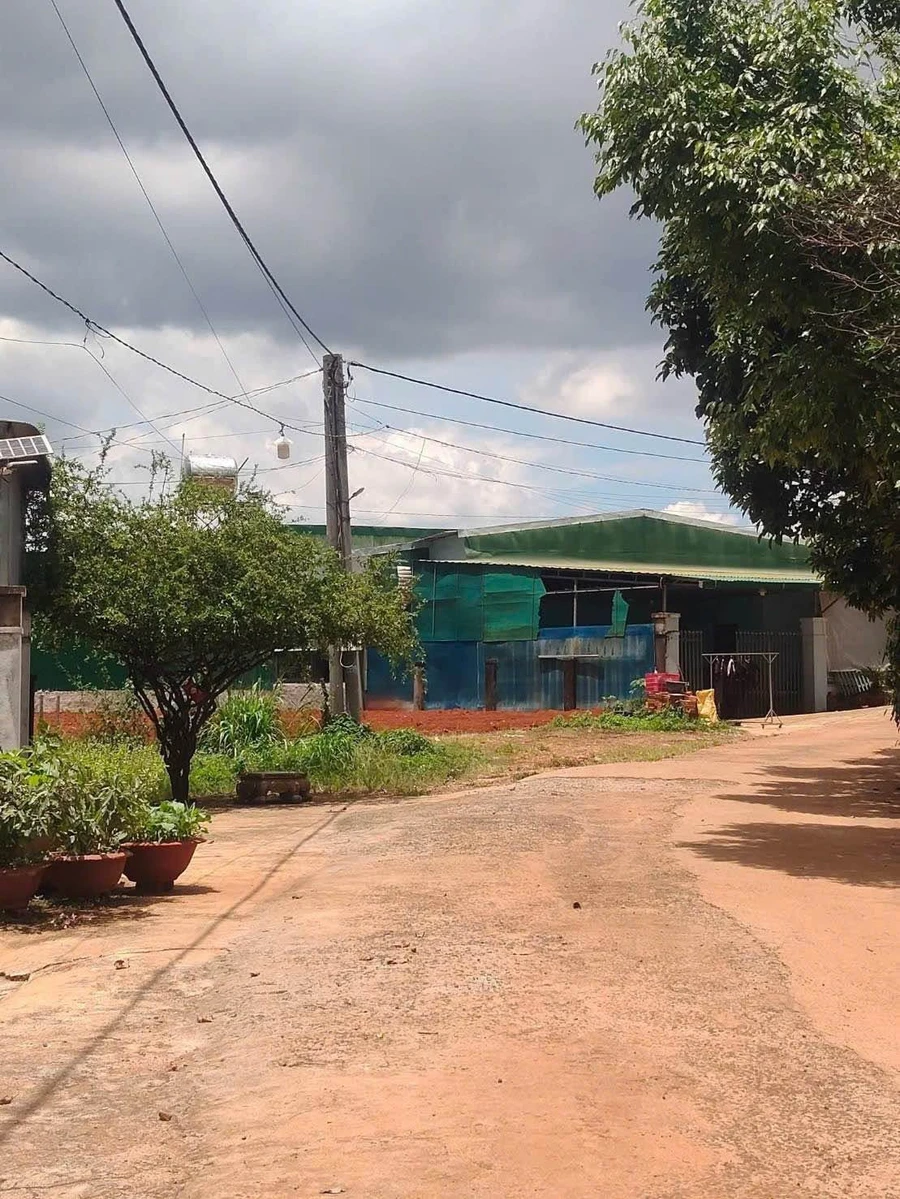 Bán lô đất nền 50m² Lâm Đồng, mặt tiền đường - Ảnh thu nhỏ 3