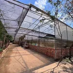 Bán lô đất 4100m2 đường Mimoza Đà Lạt 8.5 tỷ - Ảnh thu nhỏ 4