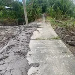 Bán nền đất Tám Bình Bình Chánh 85m² giá 130 triệu - Ảnh thu nhỏ 2