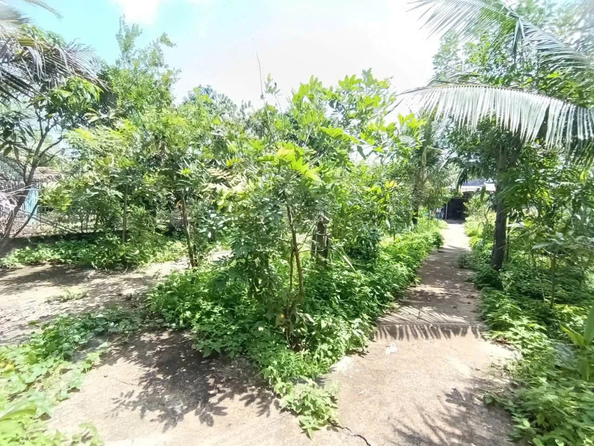Bán nhà vườn Cần Giờ 681m2, MT Nguyễn Công Bao, 20tr/m2 - Ảnh thu nhỏ 4