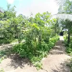 Bán nhà vườn Cần Giờ 681m2, MT Nguyễn Công Bao, 20tr/m2 - Ảnh thu nhỏ 4