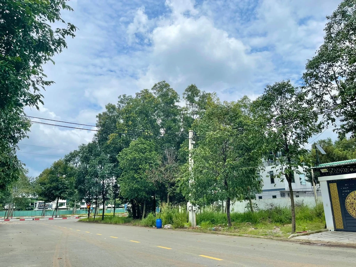 Bán đất 5x25 (125m2) full thổ cư mặt đường 18m gần ĐH Việt Đức, Bến Cát, Bình Dương - Ảnh thu nhỏ 2